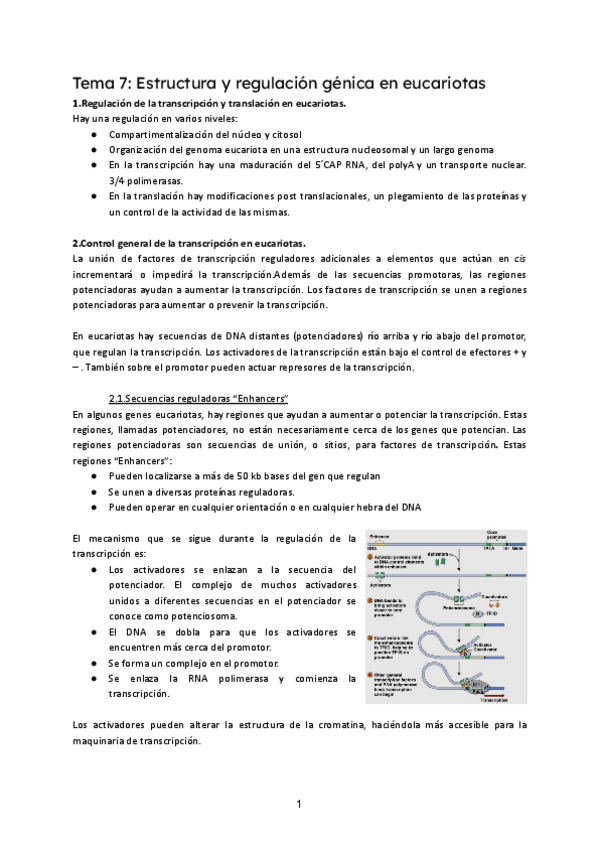 Miniatura del documento T7-BM.pdf