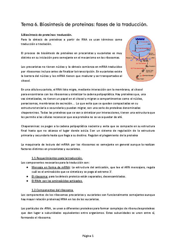 Miniatura del documento T6-BM.pdf