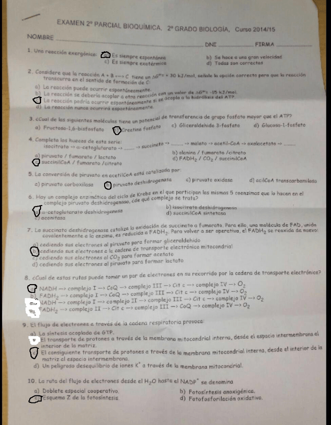 Miniatura del documento 4ef57148-0ce0-4e66-b68f-fc6da91f0682.jpg