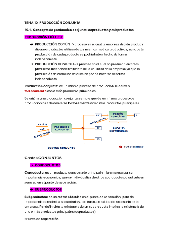 Miniatura del documento TEMA-10-castellano.pdf