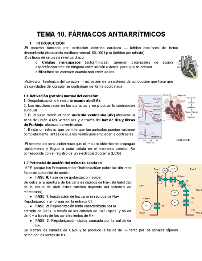 Miniatura del documento TEMA-10.-FARMACOS-ANTIARRITMICOS.pdf