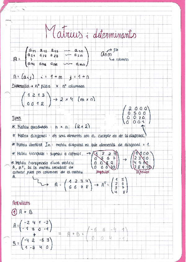 Miniatura del documento Matrius.pdf