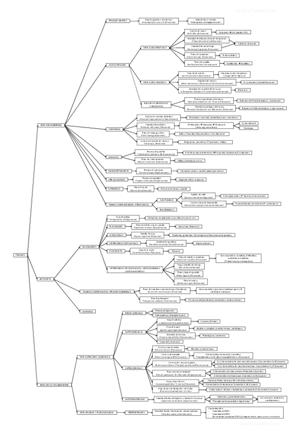 Miniatura del documento Esquema-TOP-Fenoles-.pdf