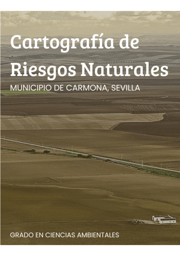 Miniatura del documento Memoria-y-Mapas-Riesgos-Naturales.pdf