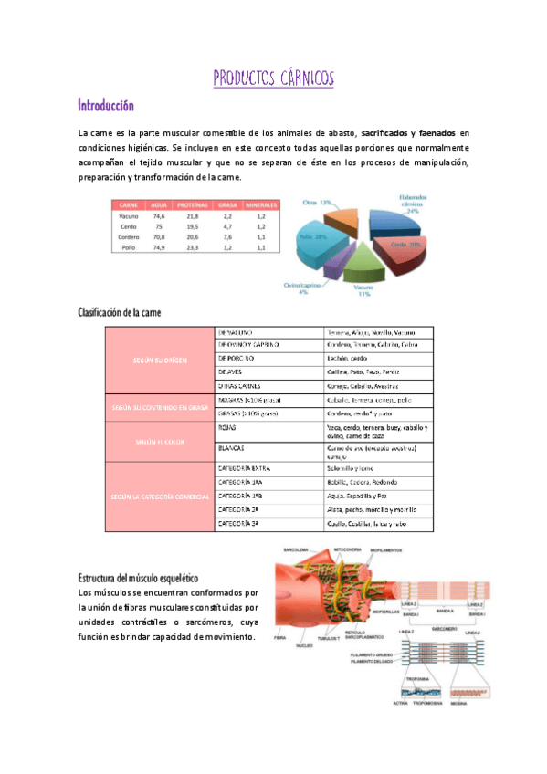 Miniatura del documento TEMA-2-BALIM.pdf