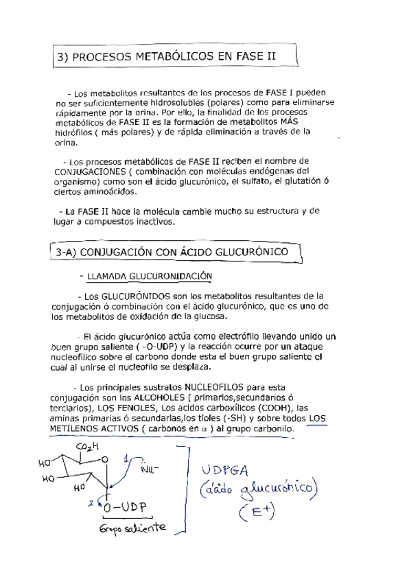 Miniatura del documento Q.Farmaceutica-1Tema-3-Metabolismo-farmacos.-Fase-II.pdf