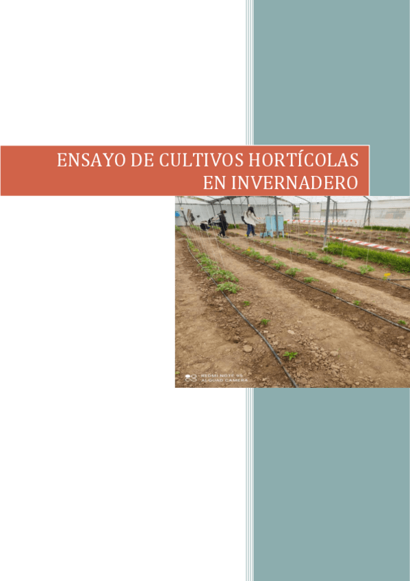 Miniatura del documento ENSAYO-DE-CULTIVOS-HORTICOLAS-EN-INVERNADERO.pdf