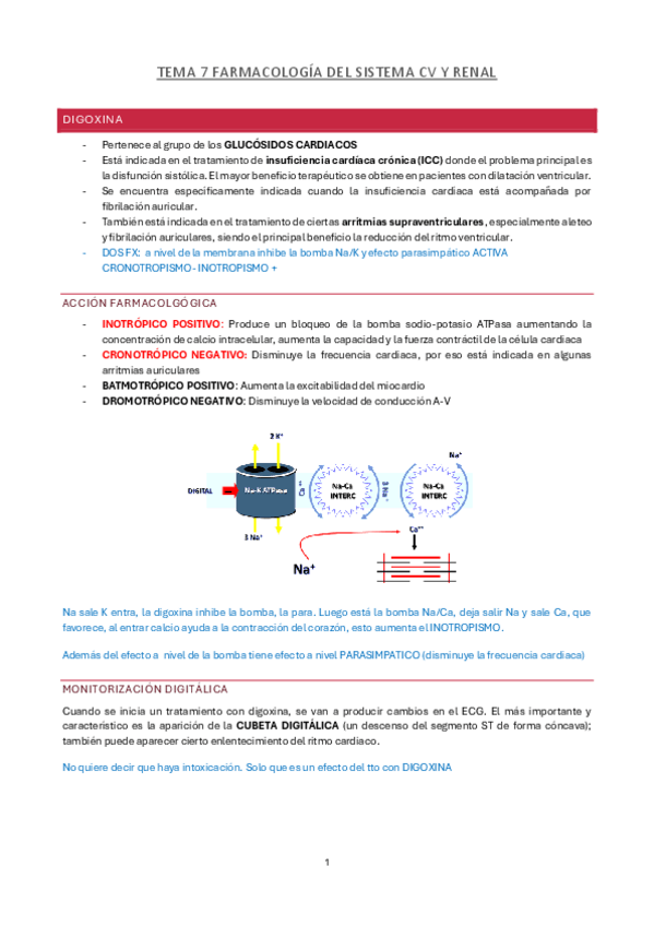 Miniatura del documento TEMA-7-FARMACOLOGIA-DEL-SISTEMA-CV-Y-RENAL.pdf