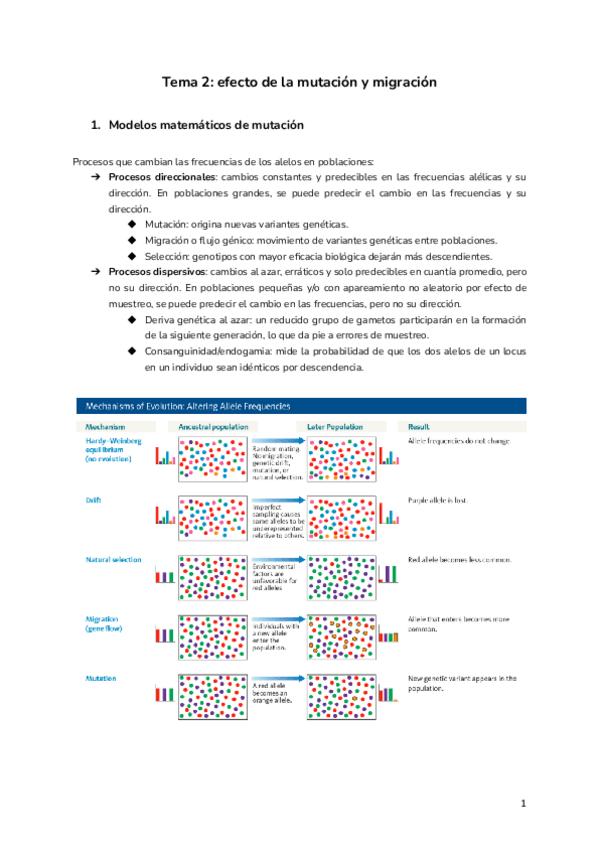 Miniatura del documento Tema-2-efecto-de-la-mutacion-y-migracion.pdf