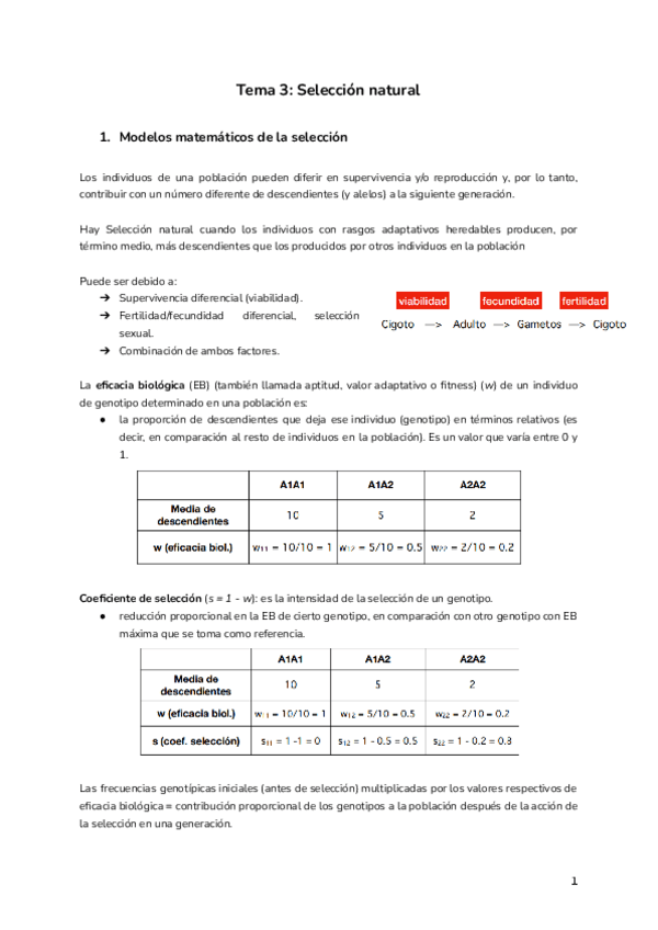 Miniatura del documento Tema-3-Seleccion-natural.pdf