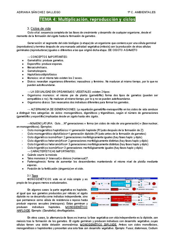 Miniatura del documento TEMA-4.2-Multiplicacion-reproduccion-y-ciclos.pdf