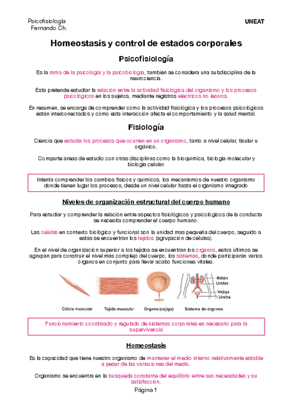 Miniatura del documento Apuntes-de-Psicofisiologia-T1.pdf