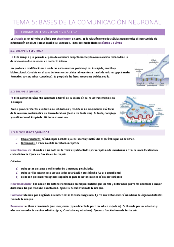 Miniatura del documento T.5-Bases-de-la-comunicacion-neuronal.pdf