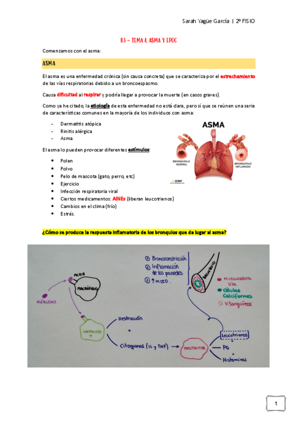 Miniatura del documento Afecciones-MQ-I-B3.-Tema-4-Asma-y-EPOC.pdf