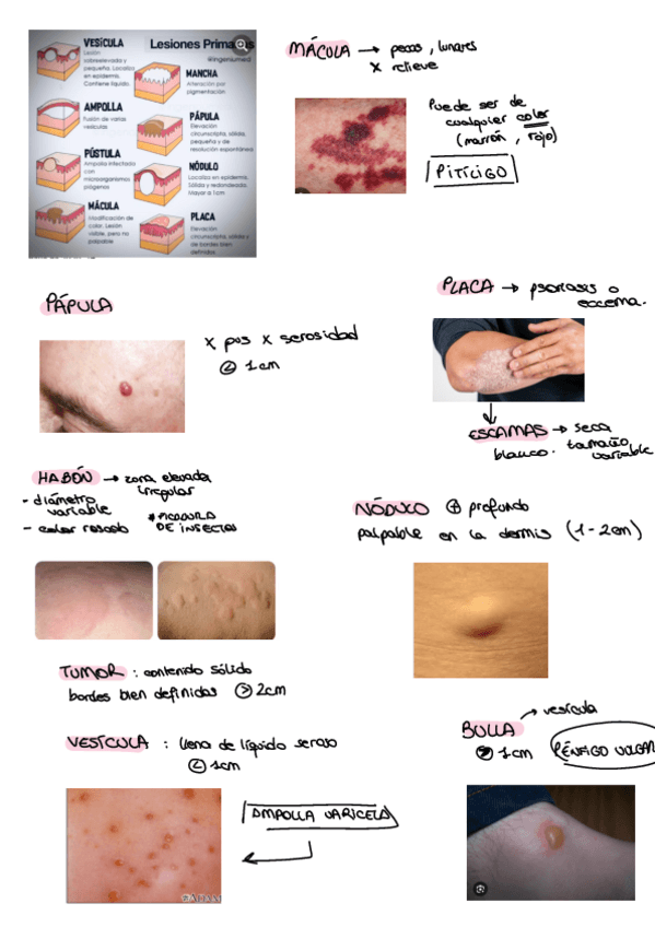 Miniatura del documento Imagenes-Tema-5.pdf