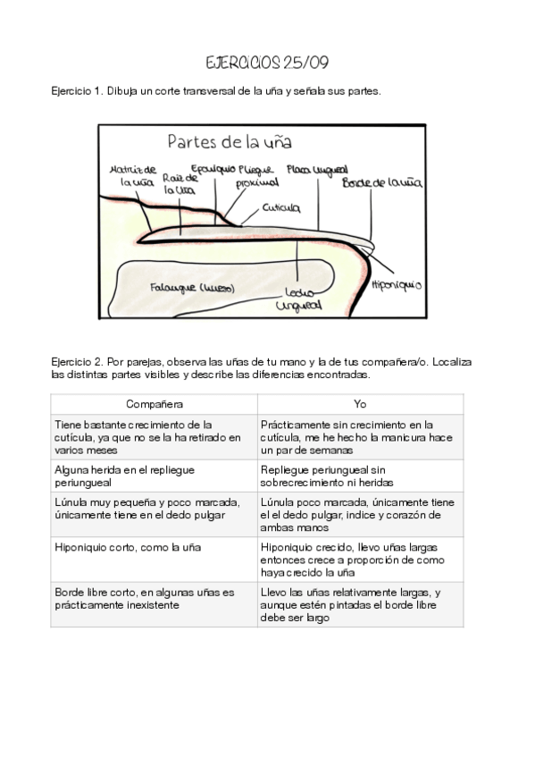Miniatura del documento Ejercicios-unidad-2.pdf