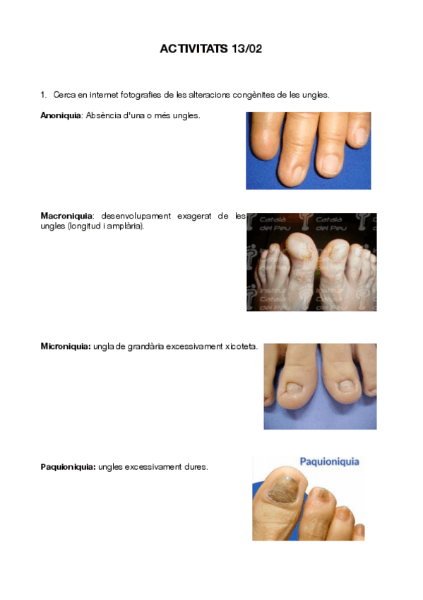 Miniatura del documento Actividades.pdf