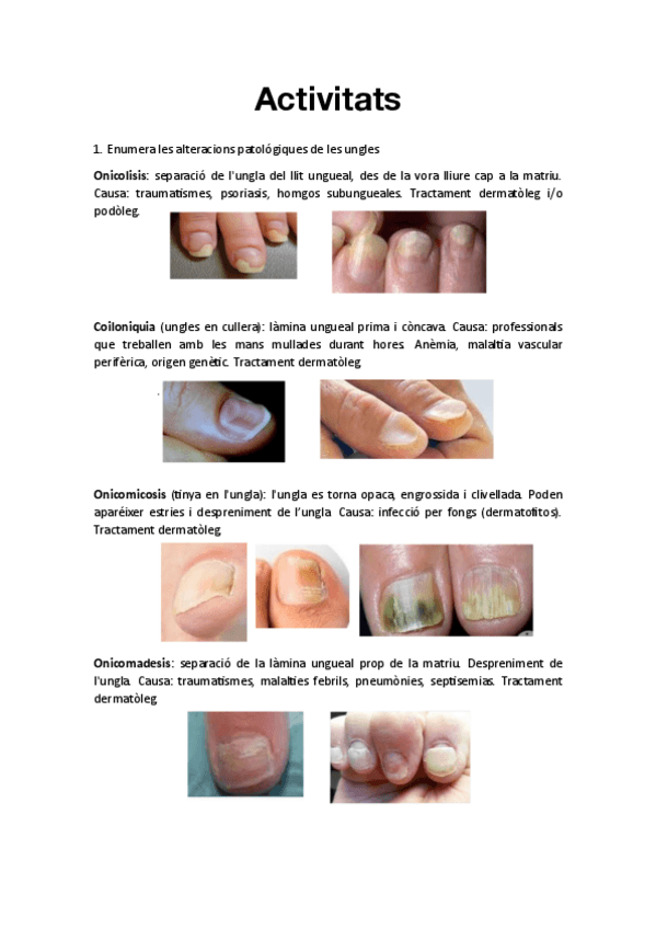 Miniatura del documento Actividades.pdf