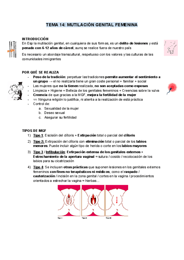 Miniatura del documento 14-Mutilacion-genital-femenina.pdf