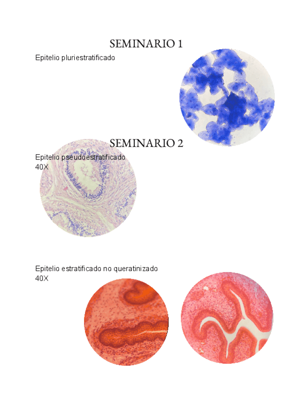 Miniatura del documento seminario-1-y-2.pdf
