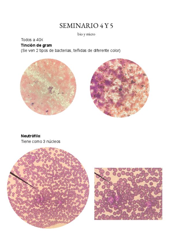 Miniatura del documento Seminario-45.pdf