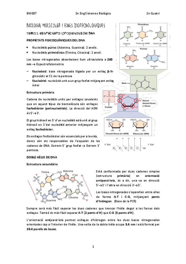 Miniatura del documento BMEBT-APUNTS-PARCIAL.pdf