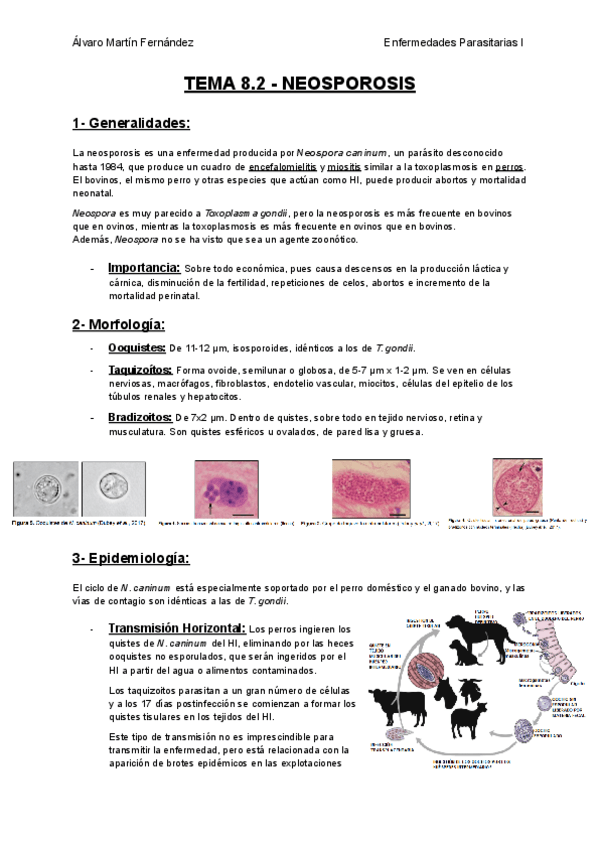 Miniatura del documento TEMA-8.2-NEOSPOROSIS.pdf