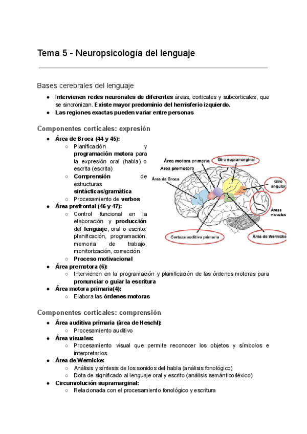 Miniatura del documento Tema-5-Neuropsicologia-del-lenguaje-1.pdf