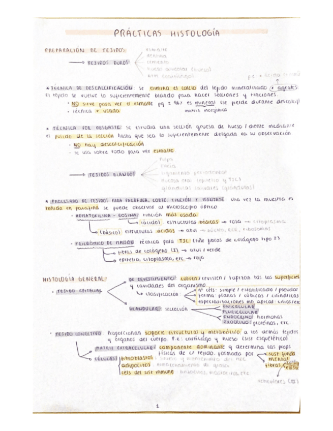 Miniatura del documento Practicas-Histologia.pdf