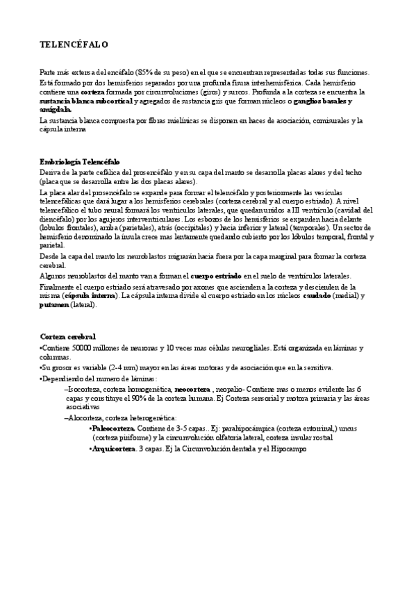 Miniatura del documento 3. Telencefalo.pdf