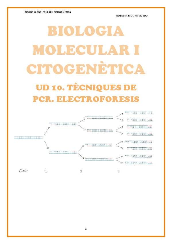 Miniatura del documento T10-Tecniquess-de-PCR.-Electroforesis..pdf