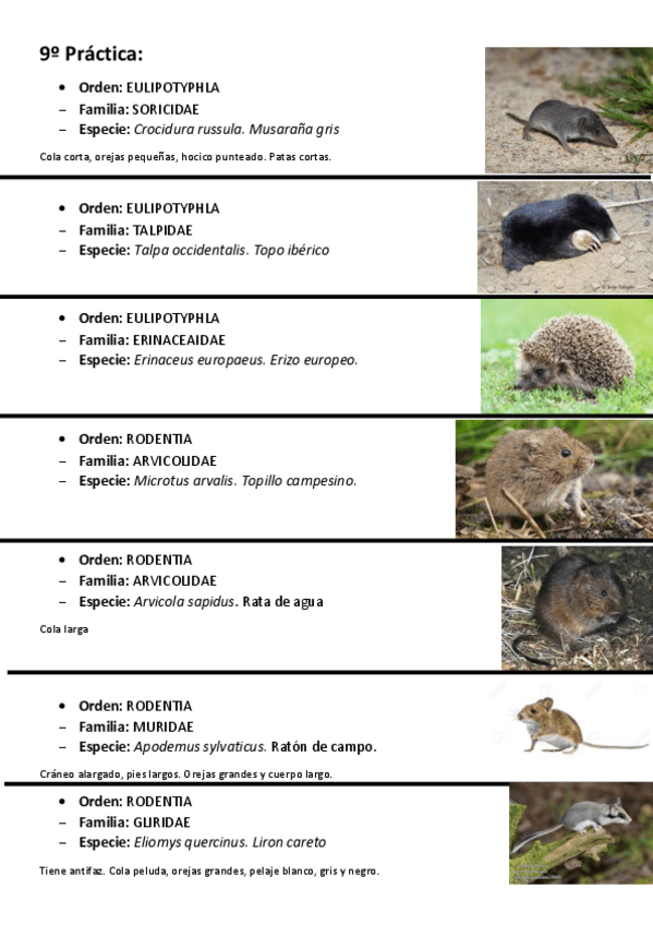 Miniatura del documento VISU-9o-practica.pdf