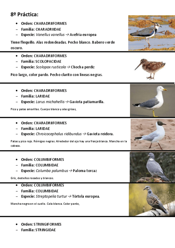 Miniatura del documento VISU-8o-practica.pdf