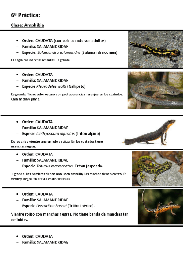 Miniatura del documento VISU-6o-practica.pdf