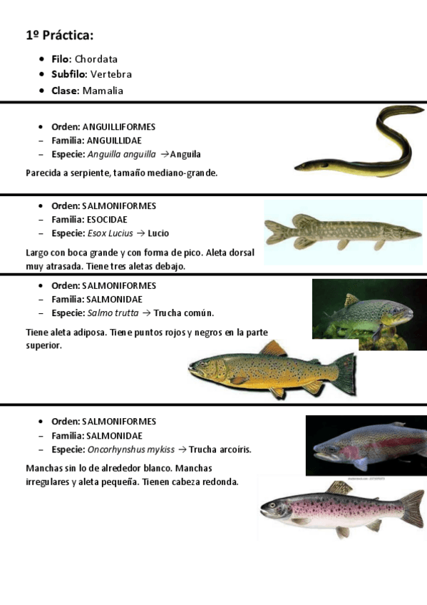Miniatura del documento VISU-5o-Practica.pdf