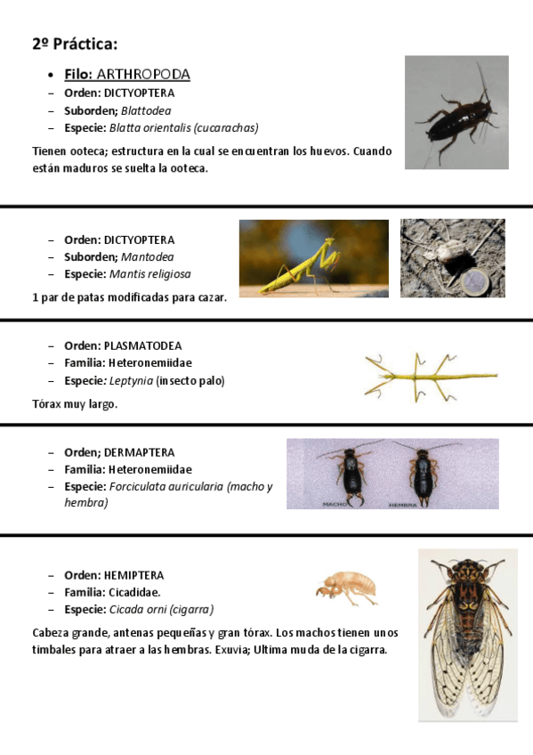Miniatura del documento VISU-2o-Practica.pdf