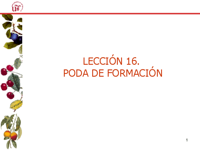 Miniatura del documento Leccion-16.-Poda-de-formacion.pdf