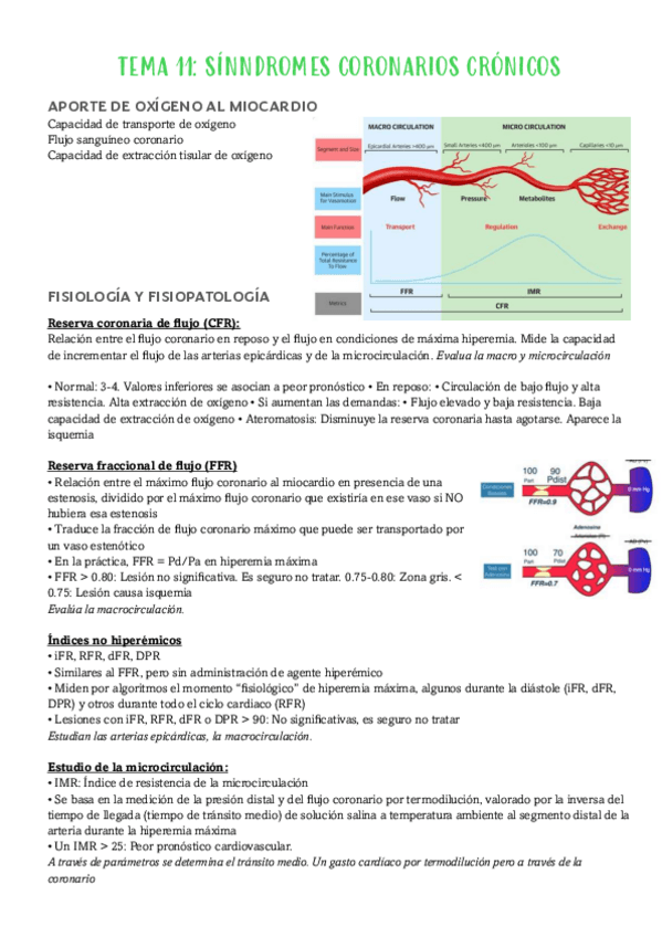 Miniatura del documento TEMA-10-CARDIO-ISQ-AGUDA.pdf