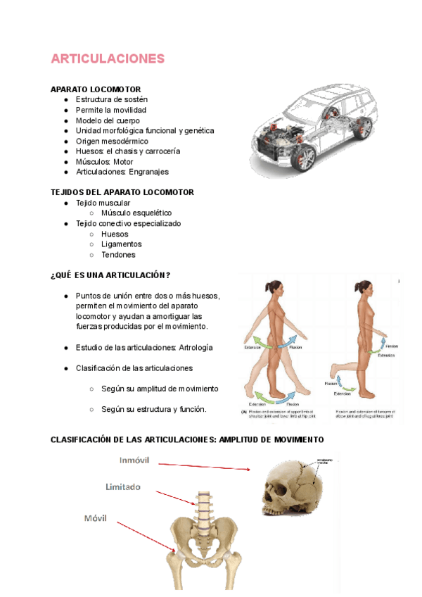 Miniatura del documento TEMA 5 (Antropología Física).pdf