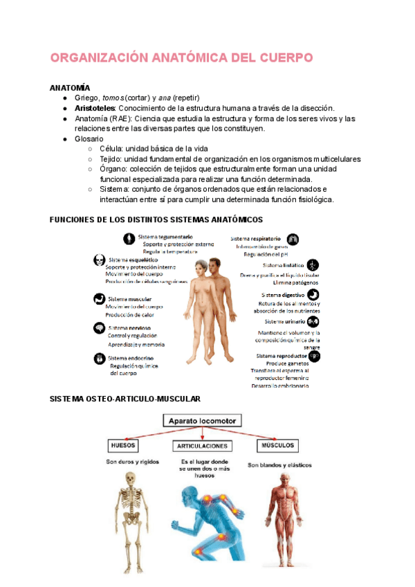 Miniatura del documento TEMA 2 (Antropología Física).pdf