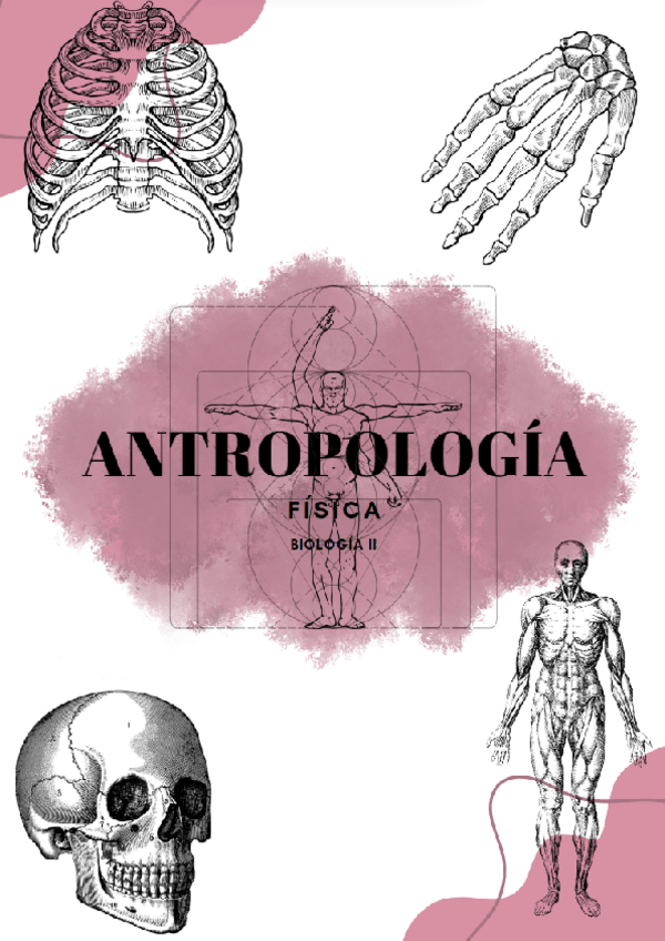 Miniatura del documento ANTROPOLOGÍA FÍSICA.pdf