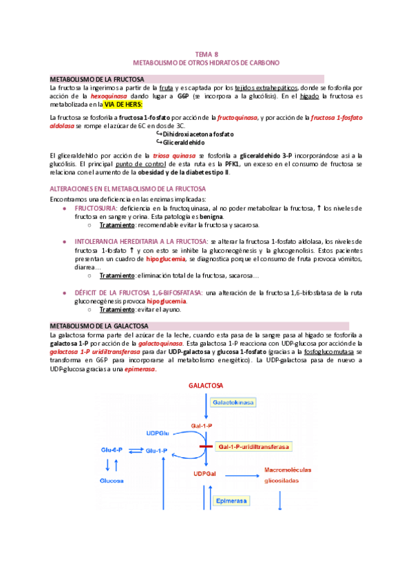Miniatura del documento T8-METABOLISMO-DE-OTROS-CH.pdf
