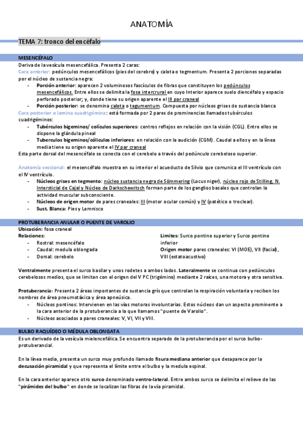 Miniatura del documento tema-7-tronco-del-encefalo.pdf