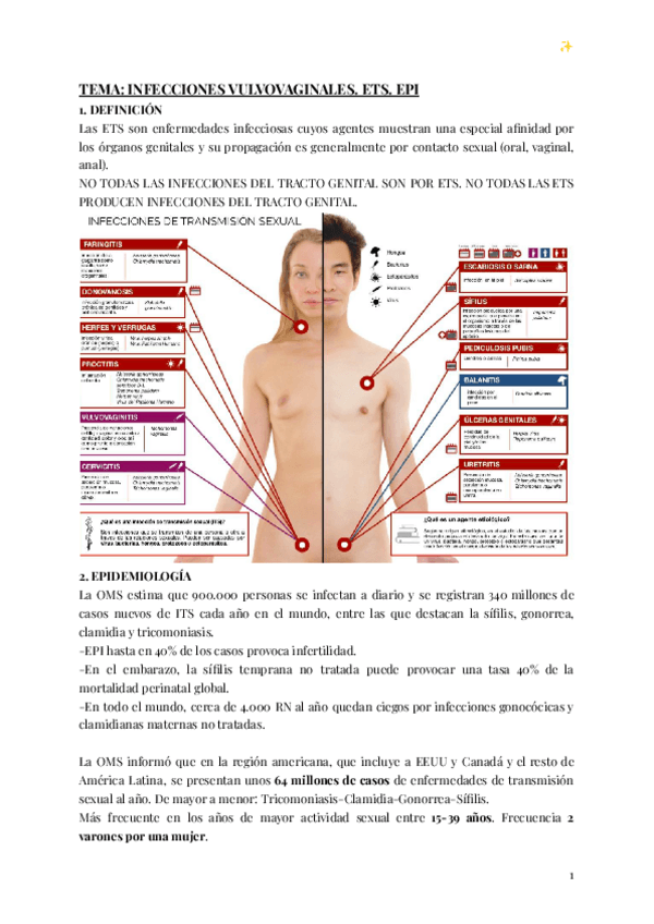 Miniatura del documento INFECCIONES-VULVOVAGINALES-ETS-EPI-2024.pdf