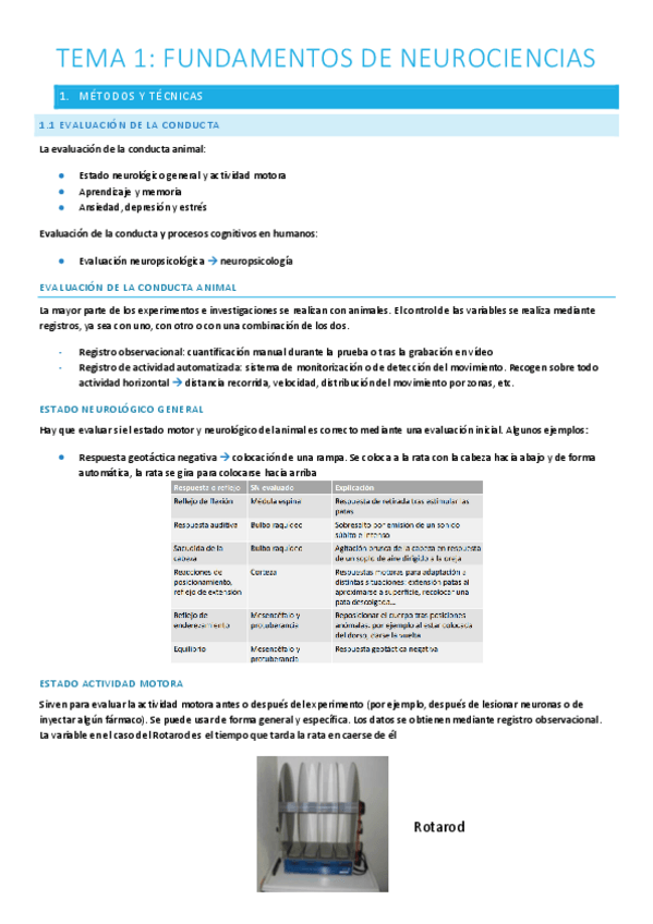 Miniatura del documento T.1-Fundamentos-de-Neurociencias.pdf