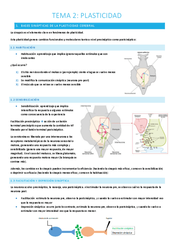 Miniatura del documento T.2-Plasticidad.pdf
