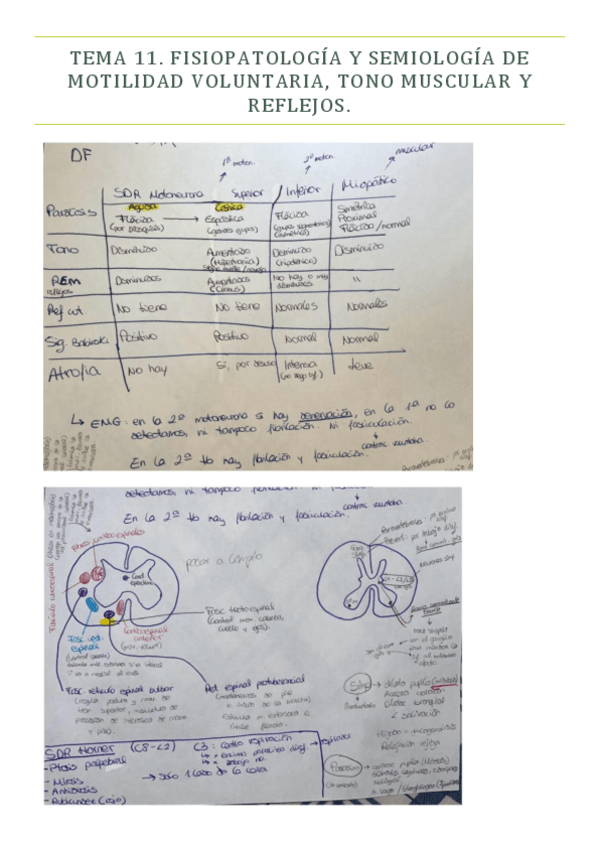 Miniatura del documento TEMA-11-PMQ-II.pdf