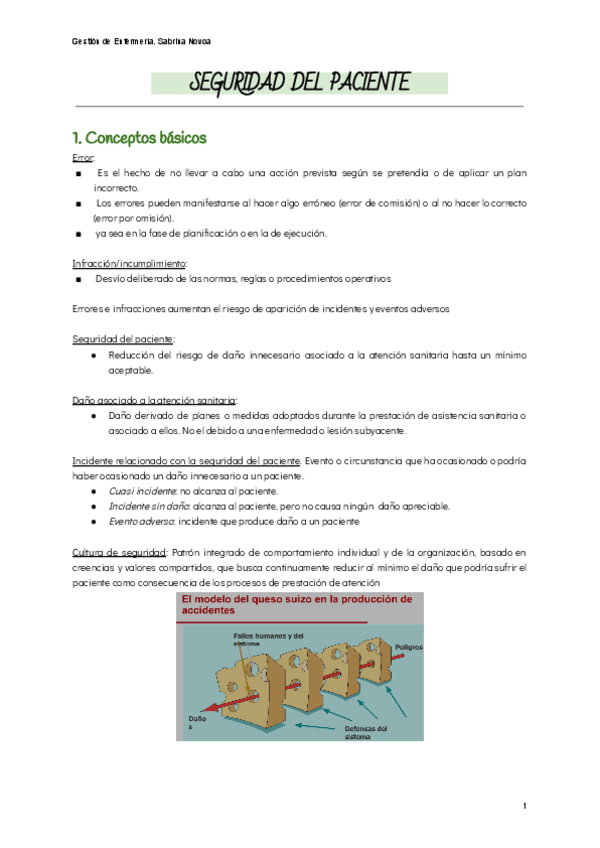 Miniatura del documento SEGURIDAD-DEL-PACIENTE.pdf