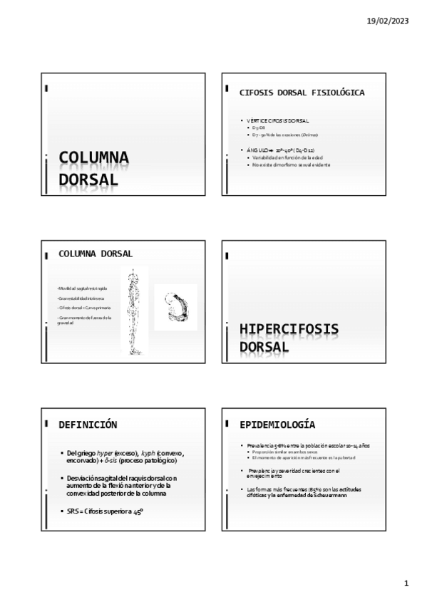 Miniatura del documento 5.-COLUMNA-DORSAL-Y-LUMBAR.pdf