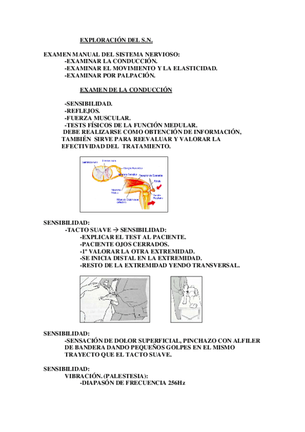 Miniatura del documento EXPLORACIONLECCIONIV.pdf